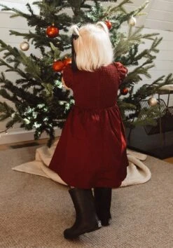 Mini Addie Dress In Wine - FINAL SALE -Ivy City Co Dress Addie Wine 09 789169