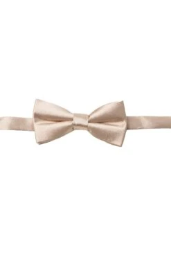 Baby Boys Henry Bow Tie In Champagne -Ivy City Co Dress BabyBoyBowTies champagne 308893