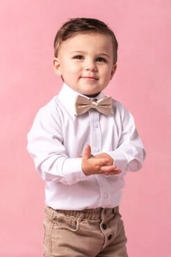 Baby Boys Henry Bow Tie In Champagne -Ivy City Co Dress ChampagneBowtie3 380316