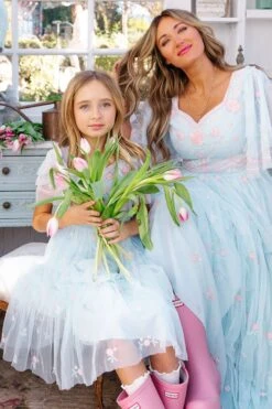 Chantilly Dress 13 Chantilly Dress -Ivy City Co Dress Chantilly1 607177