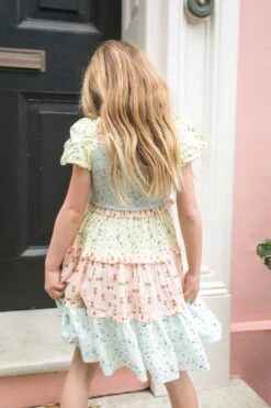 Mini Emily Dress -Ivy City Co Dress Emily MomandMe2 5668