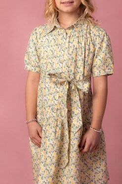 Mini Genevieve Dress -Ivy City Co Dress Genevive Studio Easter24 20 791354