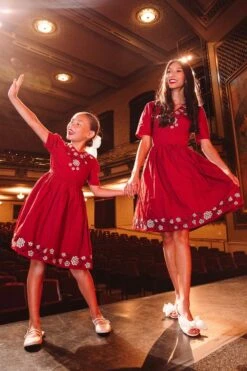 Ivy City Co Dress 12 Heidi Dress In Maroon - FINAL SALE