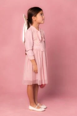 Mini Kate Dress In Pink - FINAL SALE -Ivy City Co Dress KatePink 2
