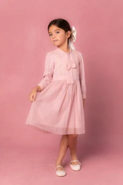 Mini Kate Dress In Pink - FINAL SALE -Ivy City Co Dress KatePink 4