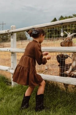 Mini Leena Dress In Java - FINAL SALE -Ivy City Co Dress LeenaJava ConradRanch F23 13 652206