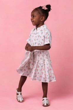 Mini Lola Dress 15 Mini Lola Dress -Ivy City Co Dress Lola Studio Spring1 6 275662