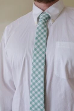 Mens Max Tie In Mint Gingham -Ivy City Co Dress MaxTie MadsHome Easter24 1