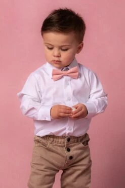 Baby Boys Henry Bow Tie In Spring Pink -Ivy City Co Dress PinkTies Studio Easter 2 945935