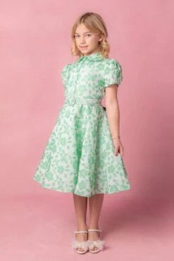 Mini Remi Dress 12 Mini Remi Dress -Ivy City Co Dress Remi studio easter24 02 272358