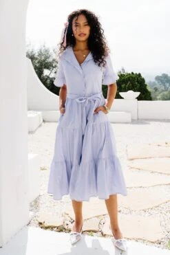 Sutton Dress In Pinstripe -Ivy City Co Dress SuttonStripe 5