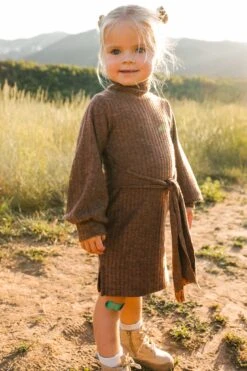 Mini Jensen Dress In Mocha - FINAL SALE -Ivy City Co Dress WEB JensenDress FW23 LindsayArnold 18