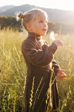 Mini Jensen Dress In Mocha - FINAL SALE -Ivy City Co Dress WEB JensenDress FW23 LindsayArnold 23