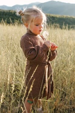 Mini Jensen Dress In Mocha - FINAL SALE -Ivy City Co Dress WEB JensenDress FW23 LindsayArnold 25