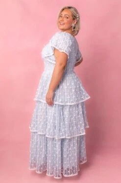 Annabelle Dress -Ivy City Co Dress annabelle 9 259c9d11 e266 4967 9d7d 2371c0976dd3 138042