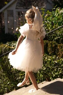 Mini Audra Dress -Ivy City Co Dress audra 3 723440