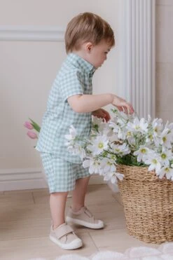 Boys James Shorts -Ivy City Co Dress boysjames 02 0c900a66 1698 4213 953b 9b2d50ee4b3b 464674