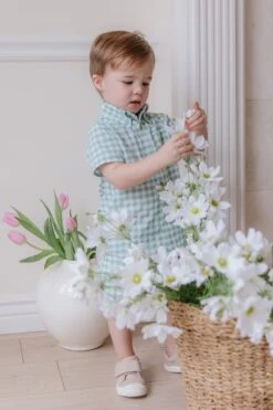 Boys James Shirt -Ivy City Co Dress boysjames 03 762394