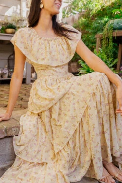 Darla Dress -Ivy City Co Dress darla 2