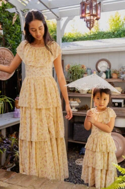 Darla Dress -Ivy City Co Dress darla 4