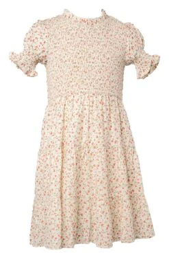 Mini Delia Dress In Ditsy Floral -Ivy City Co Dress deliaditsy minifront 688568