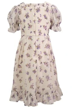 Mini Dolly Dress In Violet Rose -Ivy City Co Dress dolly violetRose mini back 170953