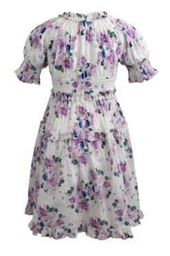 Mini Ellora Dress -Ivy City Co Dress ellora mini back 352116