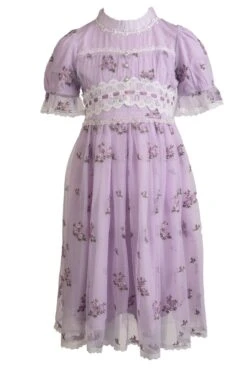 Mini Elsie Dress 16 Mini Elsie Dress -Ivy City Co Dress elsie mini front 474138