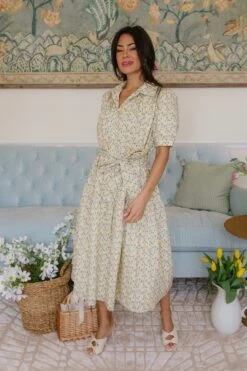 Genevieve Dress -Ivy City Co Dress genevive 18 561539