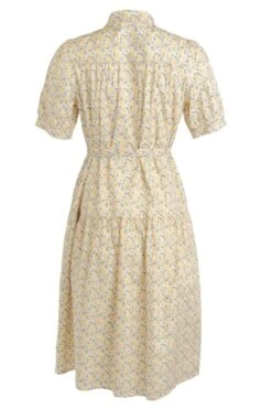 Genevieve Dress -Ivy City Co Dress genevive back 826124