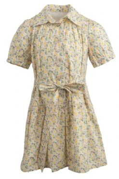 Mini Genevieve Dress -Ivy City Co Dress genevive mini front 331719