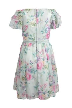 Mini Gianna Dress -Ivy City Co Dress gianna mini back 275777