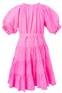 Mini Gigi Dress 13 Mini Gigi Dress -Ivy City Co Dress gigi mini back new