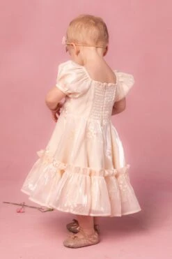 Mini Isabella Dress 14 Mini Isabella Dress -Ivy City Co Dress isabella 10 678052