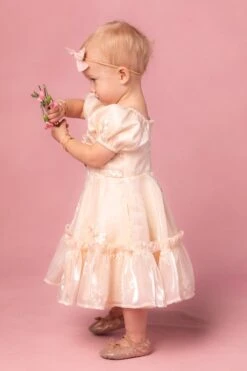 Mini Isabella Dress 15 Mini Isabella Dress -Ivy City Co Dress isabella 11 865655