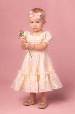 Mini Isabella Dress 16 Mini Isabella Dress -Ivy City Co Dress isabella 12 490489