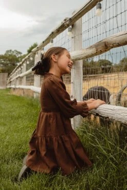 Mini Leena Dress In Java - FINAL SALE -Ivy City Co Dress leena 1 194314