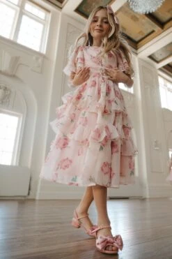 Mini Solana Dress -Ivy City Co Dress lovers2 02 545320