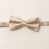 Baby Boys Henry Bow Tie In Champagne