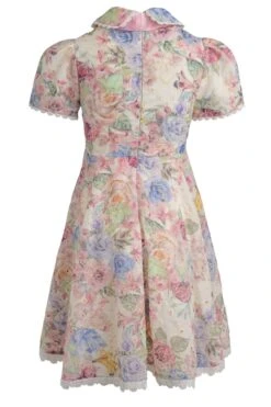 Mini Penny Dress 19 Mini Penny Dress -Ivy City Co Dress penny mini back 100048