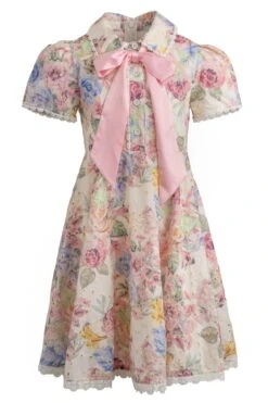 Mini Penny Dress 18 Mini Penny Dress -Ivy City Co Dress penny mini front Edit 117777