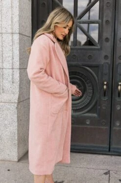 Polly Coat In Pink - FINAL SALE -Ivy City Co Dress polly 12 186701
