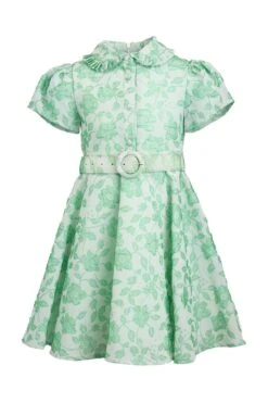 Mini Remi Dress 16 Mini Remi Dress -Ivy City Co Dress remi mini front 835148