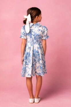 Mini Sophia Dress 14 Mini Sophia Dress -Ivy City Co Dress sophia studio 5 434903