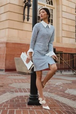 Blair Dress -Ivy City Co Dress web lovers3 10 177850