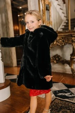 Mini Willa Coat In Black - FINAL SALE -Ivy City Co Dress willa black mini 3 628287