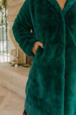 Willa Coat In Green - FINAL SALE -Ivy City Co Dress willa green plus 07 858393
